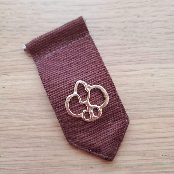 Vintage 90s Girl Scout Brownie Pin Set - Picture 1 of 6